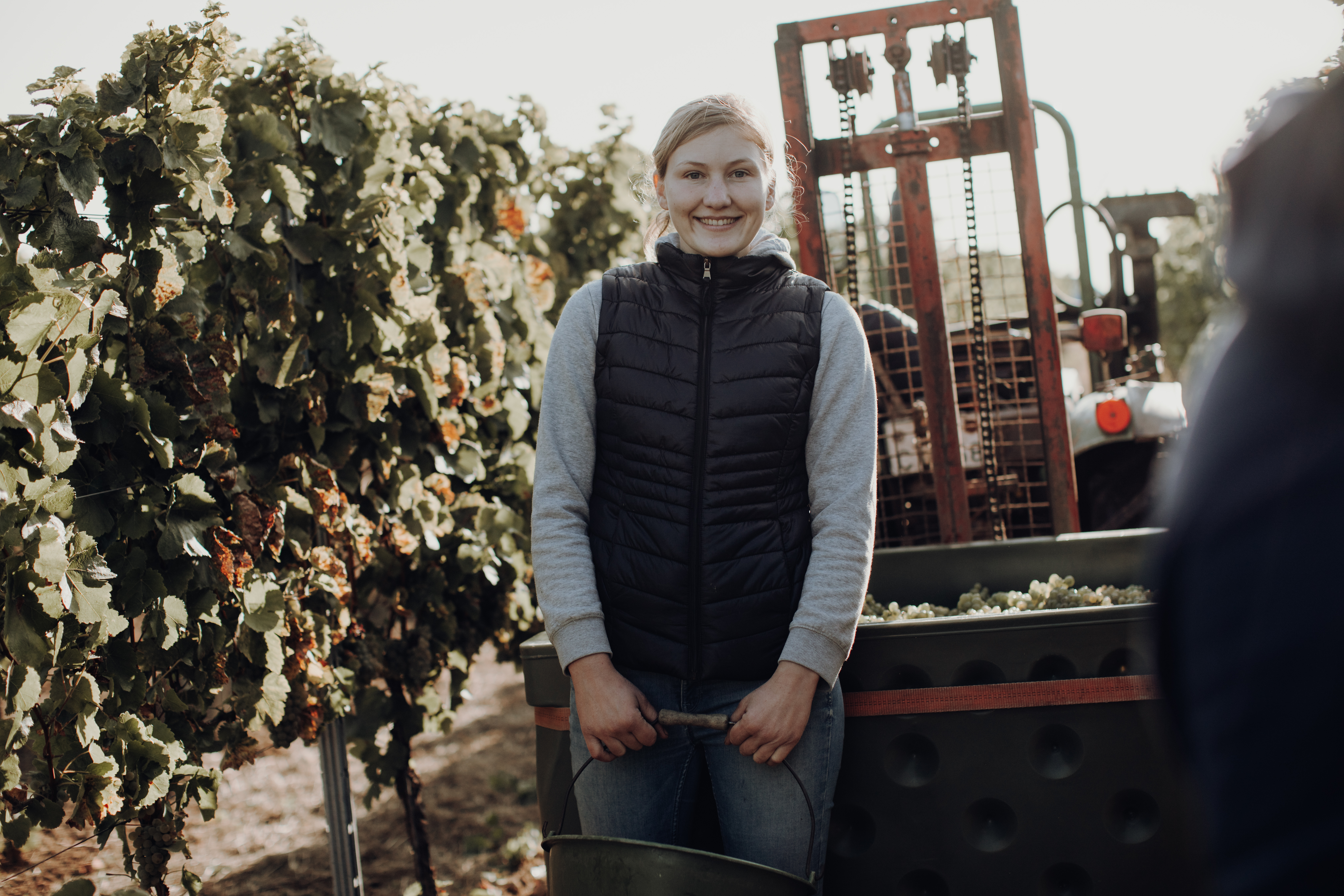 Weingut Berhard Martina Fazzi Feld Arbeit Trauben